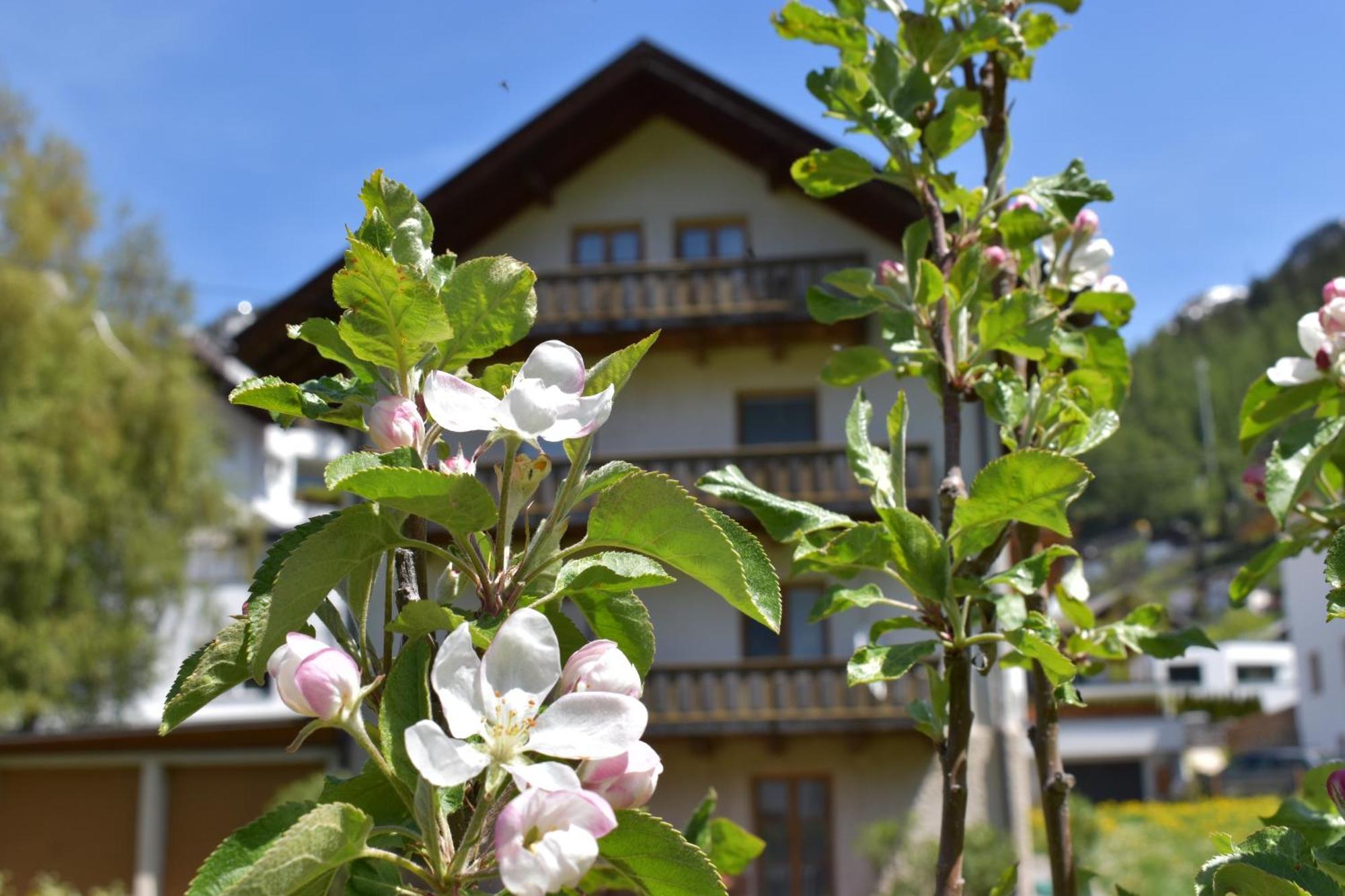 Hirschstube Nauders Bed & Breakfast エクステリア 写真